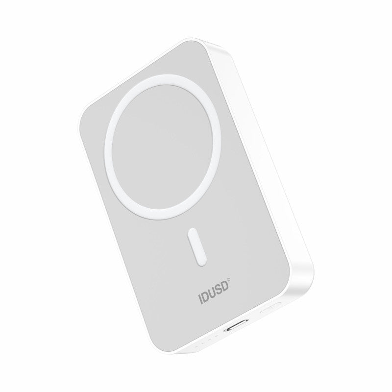 Eco Power Mag 10.000mAh 15W - P24B